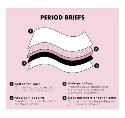 period briefs